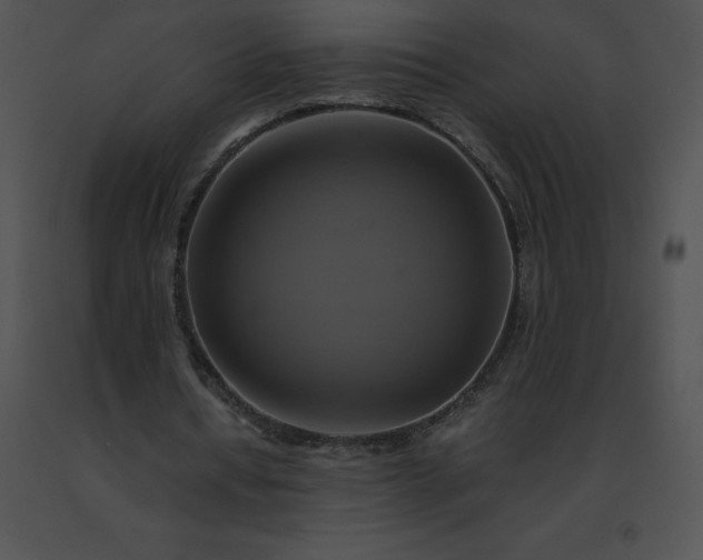 X0000091540434200708311335