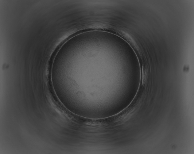 X0000091540435200708311335
