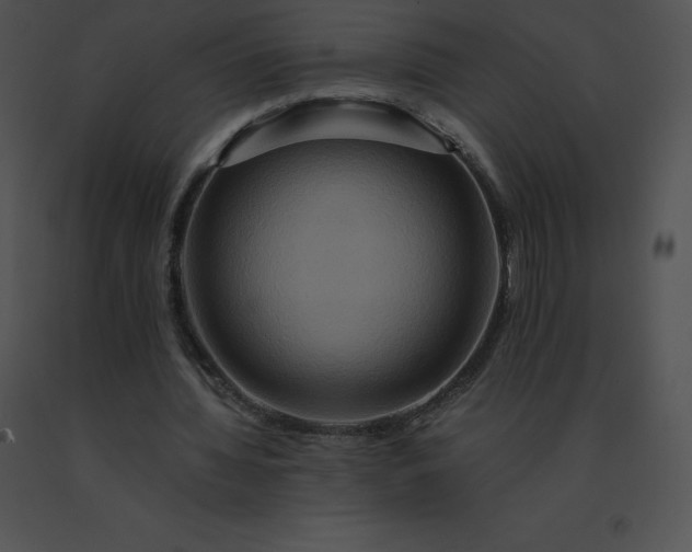 X0000091540436200708311335