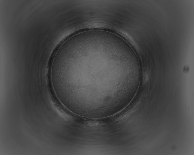 X0000091540439200708311335