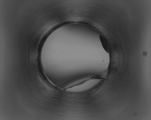 X0000091540440200708311335