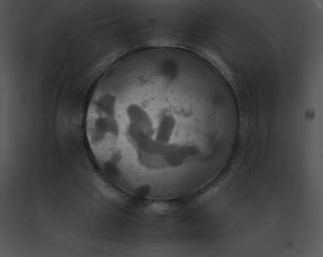 X0000091540441200708311335