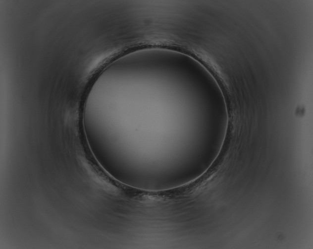 X0000091540442200708311335