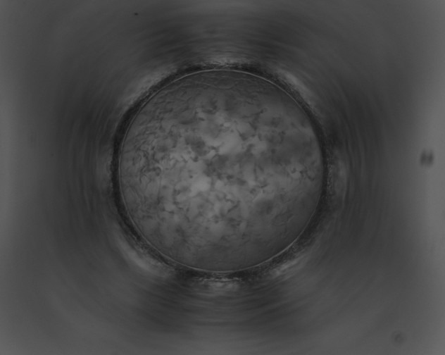 X0000091540443200708311335