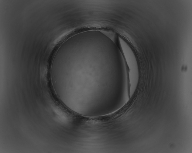 X0000091540444200708311335