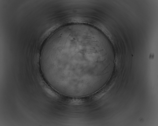 X0000091540445200708311335