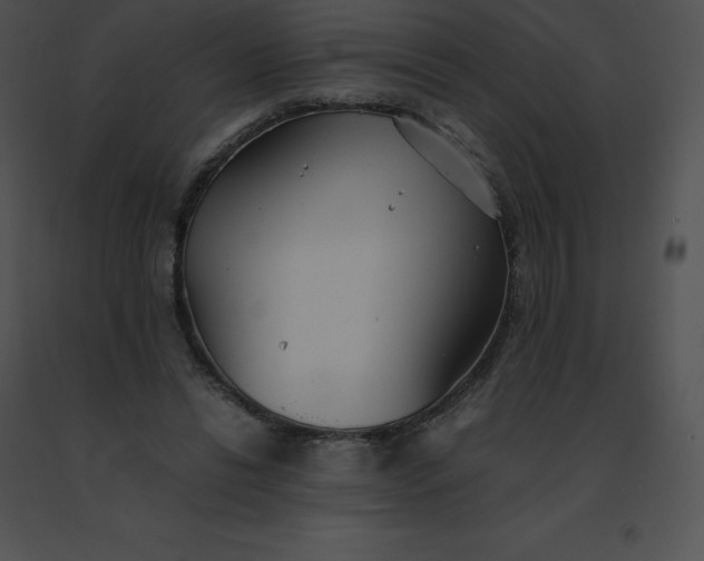 X0000091540446200708311335