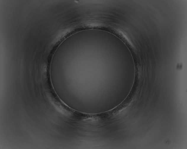 X0000091540447200708311335