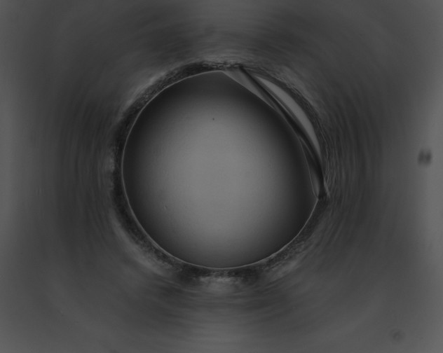 X0000091540448200708311335