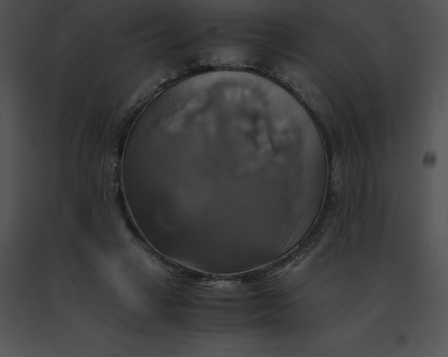 X0000091540449200708311335