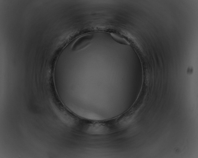 X0000091540451200708311335