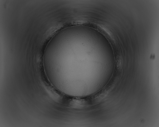 X0000091540455200708311335