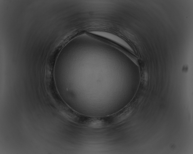 X0000091540456200708311335