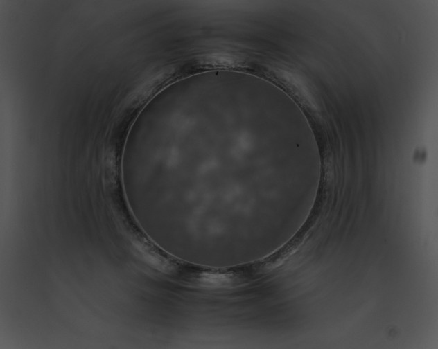 X0000091540457200708311335