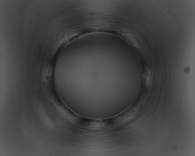 X0000091540458200708311335