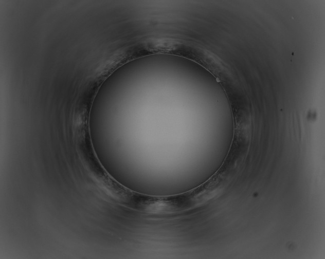X0000091540460200708311335
