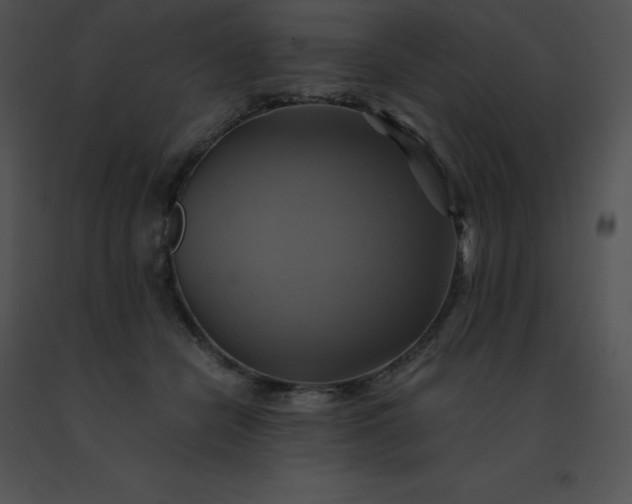 X0000091540462200708311335