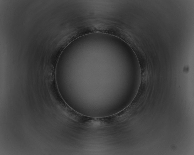 X0000091540464200708311336