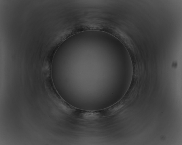 X0000091540465200708311336