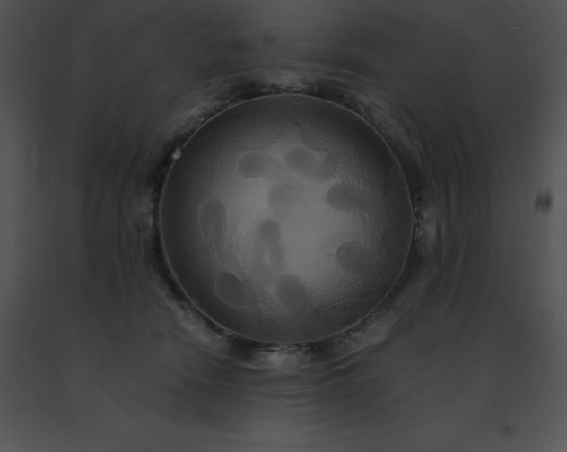 X0000091540466200708311336