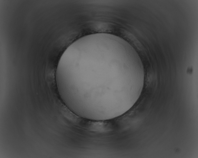 X0000091540473200708311336