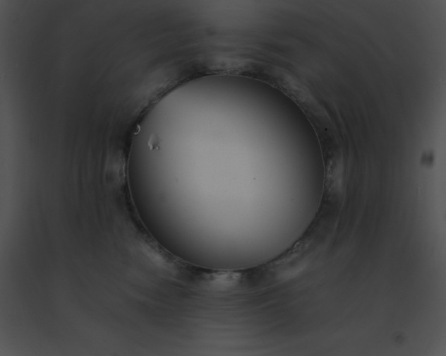 X0000091540474200708311336
