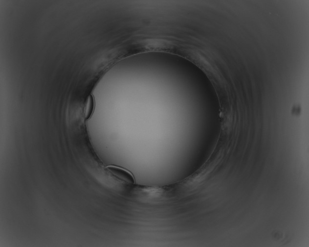 X0000091540478200708311336
