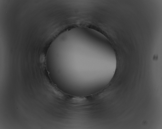 X0000091540480200708311336
