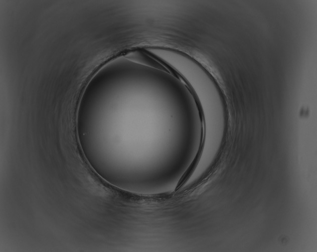 X0000091540481200708311335
