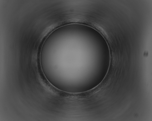 X0000091540482200708311335