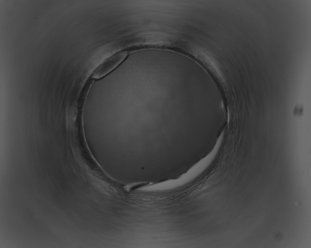 X0000091540483200708311335