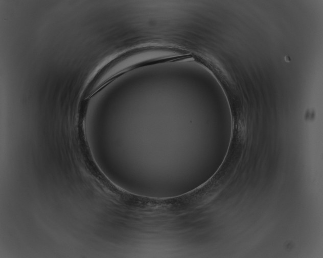 X0000091540484200708311335