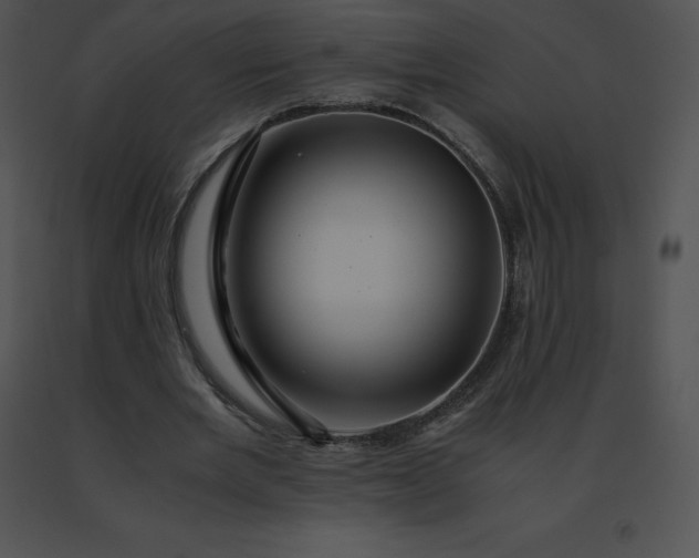 X0000091540485200708311335
