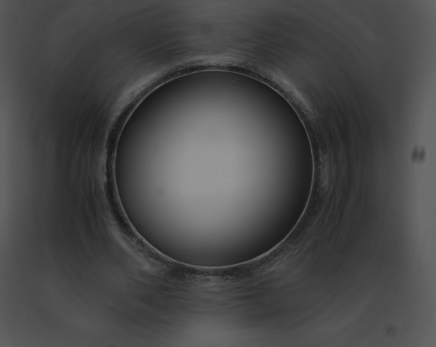 X0000091540486200708311335