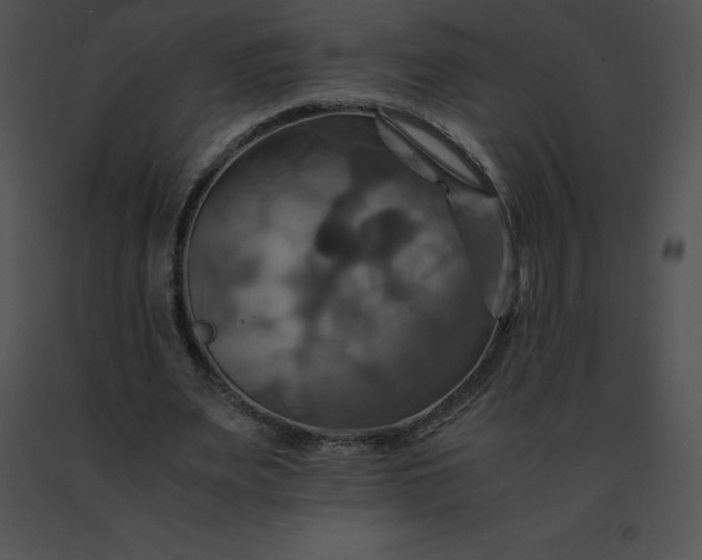 X0000091540487200708311335