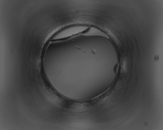 X0000091540488200708311335