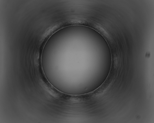 X0000091540490200708311335