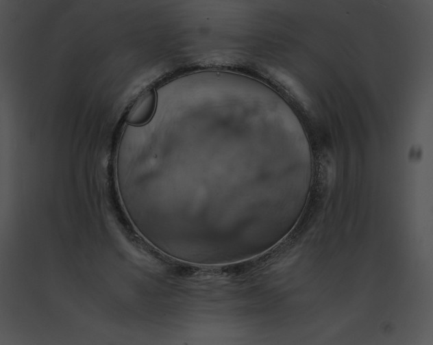 X0000091540491200708311335