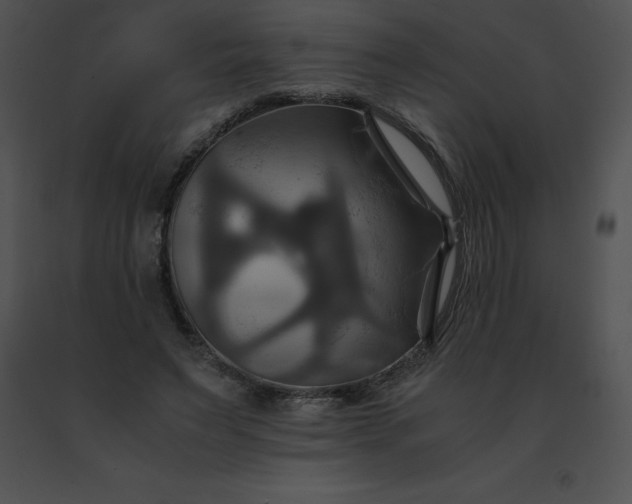 X0000091540495200708311335