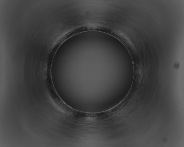 X0000091540496200708311335