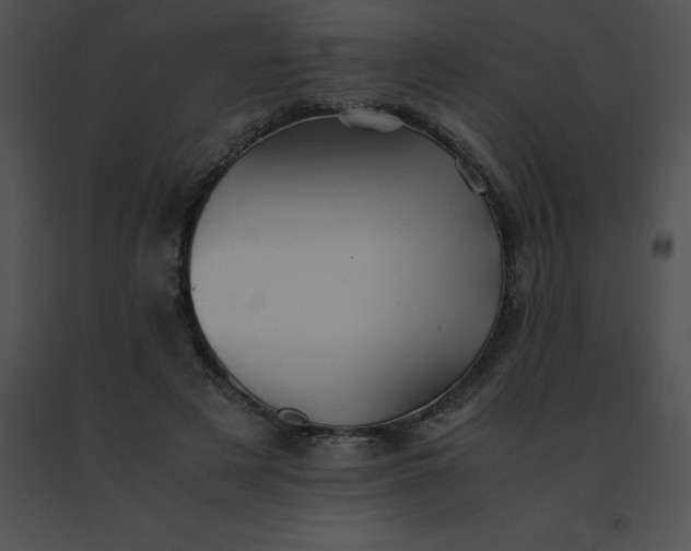 X0000091540497200708311335