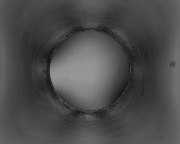 X0000091540498200708311335