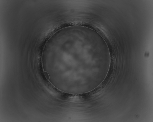 X0000091540499200708311335
