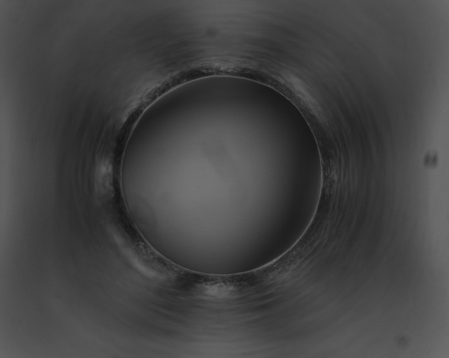 X0000091540500200708311335