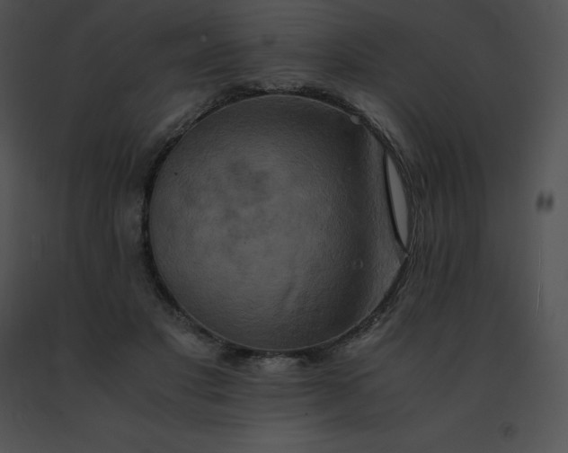 X0000091540501200708311335