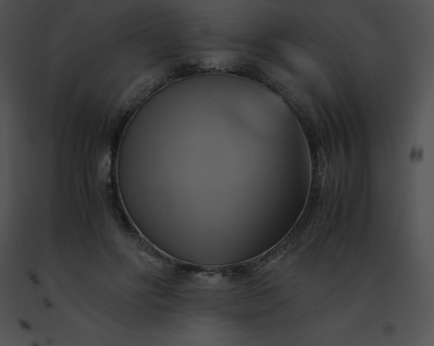 X0000091540502200708311335