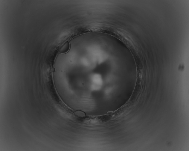 X0000091540503200708311335