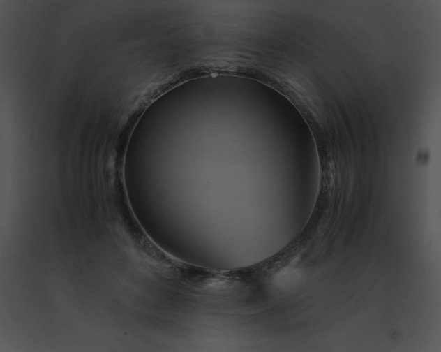 X0000091540504200708311335