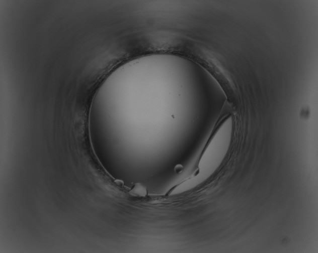 X0000091540505200708311335
