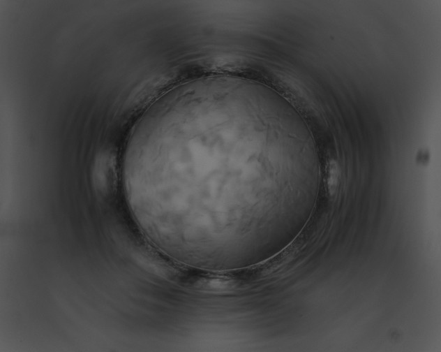 X0000091540506200708311335